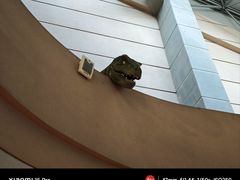 -诸城市恐龙博物馆