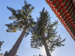 -圣莲山风景区