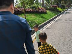 -枫香湖儿童公园