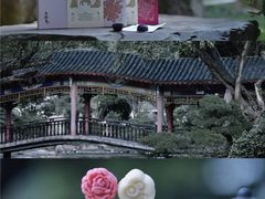 -华雅花园大酒店