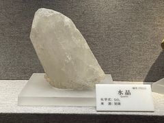 -贵州省地质博物馆