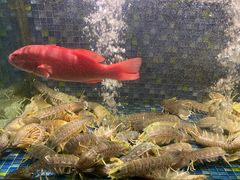 -新荣记(椒江店)