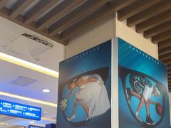 -武汉大学附属爱尔眼科医院(湖北总院)