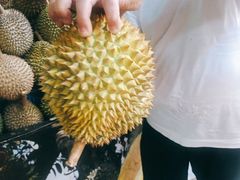 -101花果山山芭榴莲(史密斯街店)