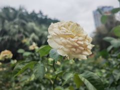 -人民公园(罗湖区)