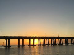 -宝安西湾红树林湿地公园