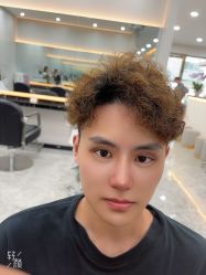 -YESIDO椰岛造型