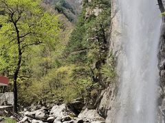 -青峰峡国家森林公园