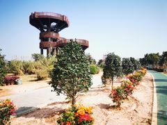 -芒洲湿地公园