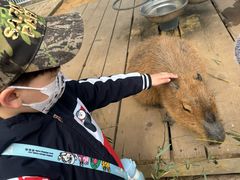 -西霞口神雕山野生动物世界