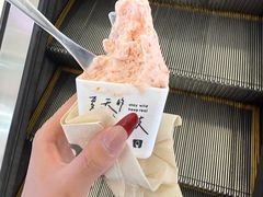 -野人先生Gelato(上海长宁龙之梦店)