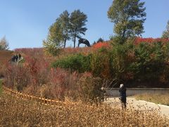 -长春世界雕塑园冰雪艺术天地