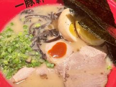 -一豚轩·烧鸟·豚骨拉面(五四路店)