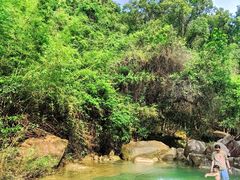 -广州白江湖森林公园