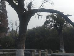 -习家池
