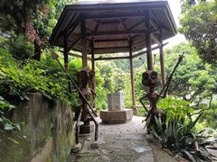 -青青世界