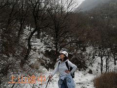 -阳台山自然风景区