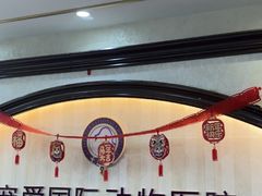 -宠爱国际动物医院·消化内科·心肾内科·ISFM猫友好(望京店)