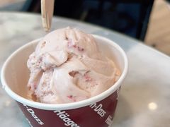 -哈根达斯(武汉天地店)