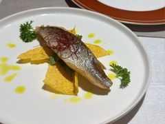 -马语者西餐.干式熟成牛排(野马黑金店)