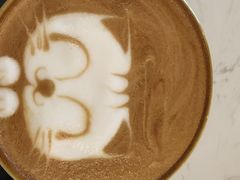 -飞行喵MR PILOT|猫舍·猫咖(静安大融城店)