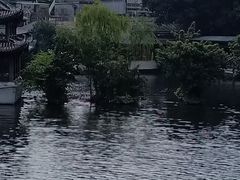 -荔湾湖公园