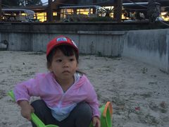 -崇明东平国家森林公园烧烤房车露营地