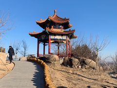 -白水寺森林公园