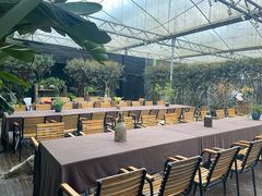 -桉树林A coffee 森林餐厅(三圣乡店)