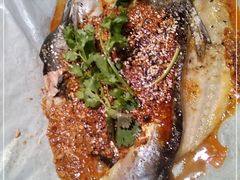 -鱼来顺纸上烤鱼