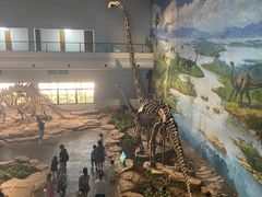 -自贡恐龙博物馆