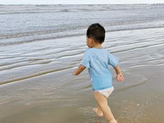 -日照海滨国家森林公园