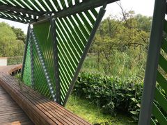 -西湖风景区-江洋畈生态公园