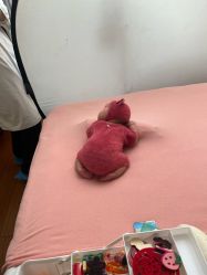 点击看大图 -玛瑞莎孕婴童摄影到家拍