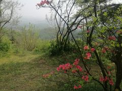 -敬亭山风景名胜区