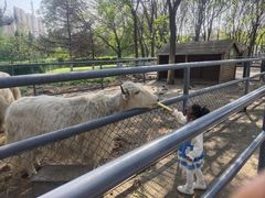 -长白岛森林公园