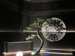 -大拙里·精致融合菜(沙湖桃源国际店)