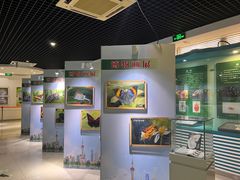 -上海昆虫博物馆