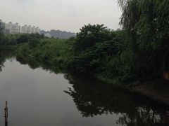 -新江湾城公园