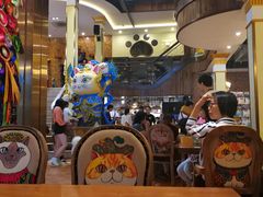 -more than meow吴止猫主题餐厅(承德 中船汇店)