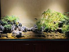 -杭州香格里拉·香宫中餐厅