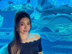 -亚特兰蒂斯•OSSIANO奥西亚诺海底餐厅