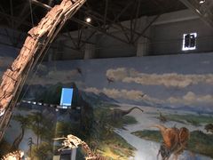 -自贡恐龙博物馆