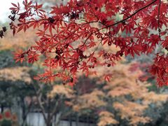 -杭州黄龙洞