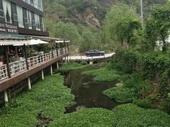-Local泰莲庭(虹鳟鱼店)