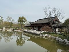 -上海滨江森林公园