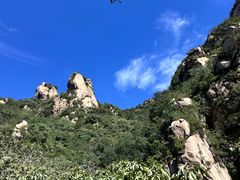 -大岭沟猕猴桃谷风景区