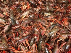 -青石桥市场北1-27号