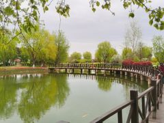 -泗洪洪泽湖湿地景区