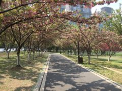 -西北湖绿化广场